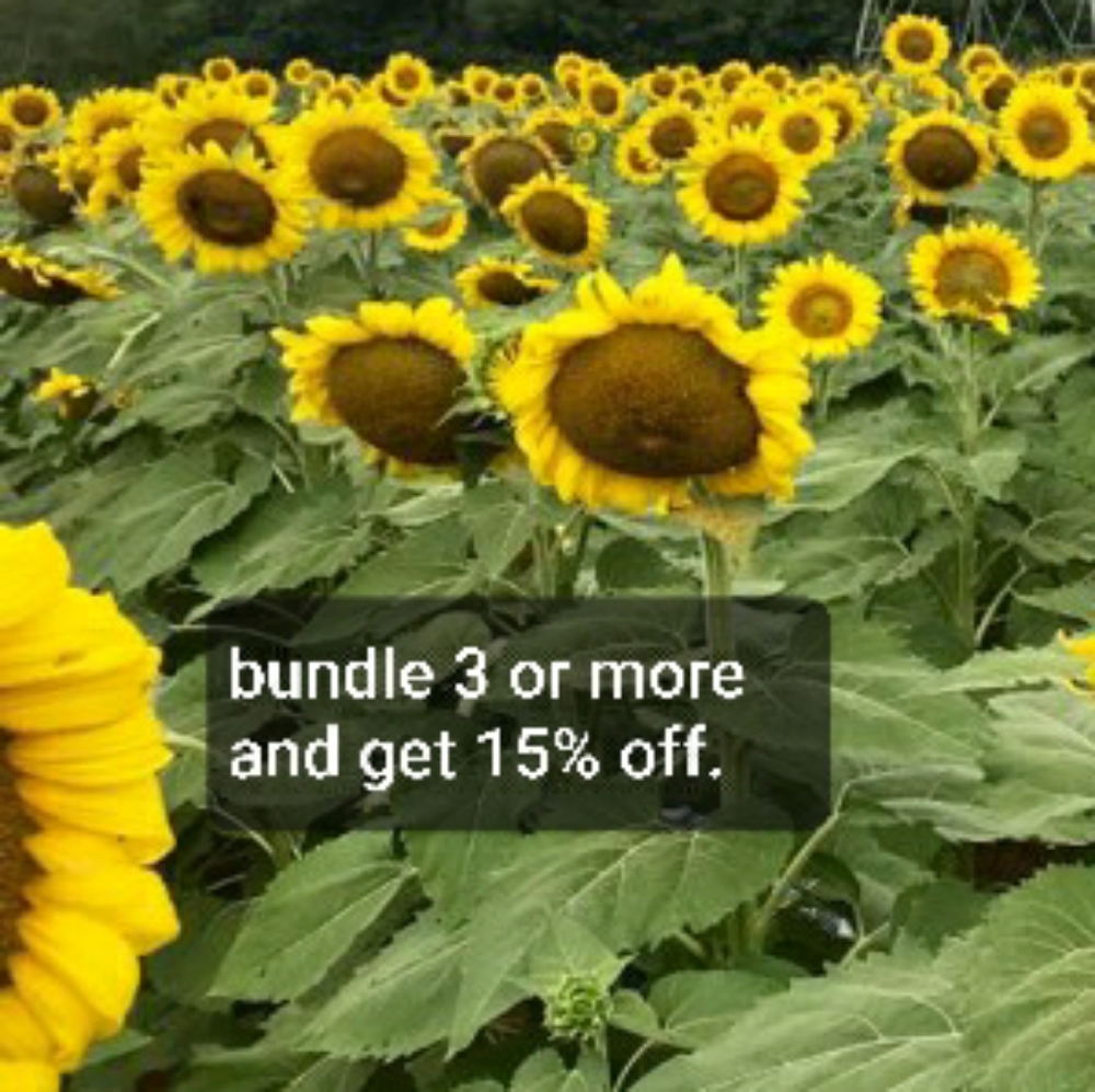 Bundle